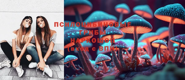 гидропоника Абаза